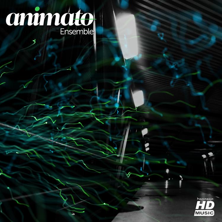 Animato's avatar image