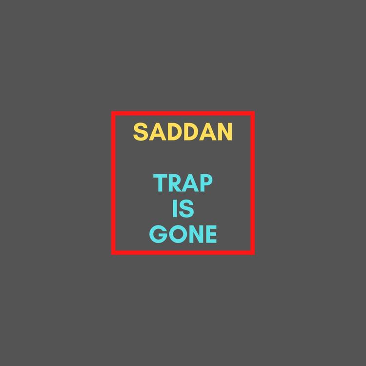 Saddan's avatar image