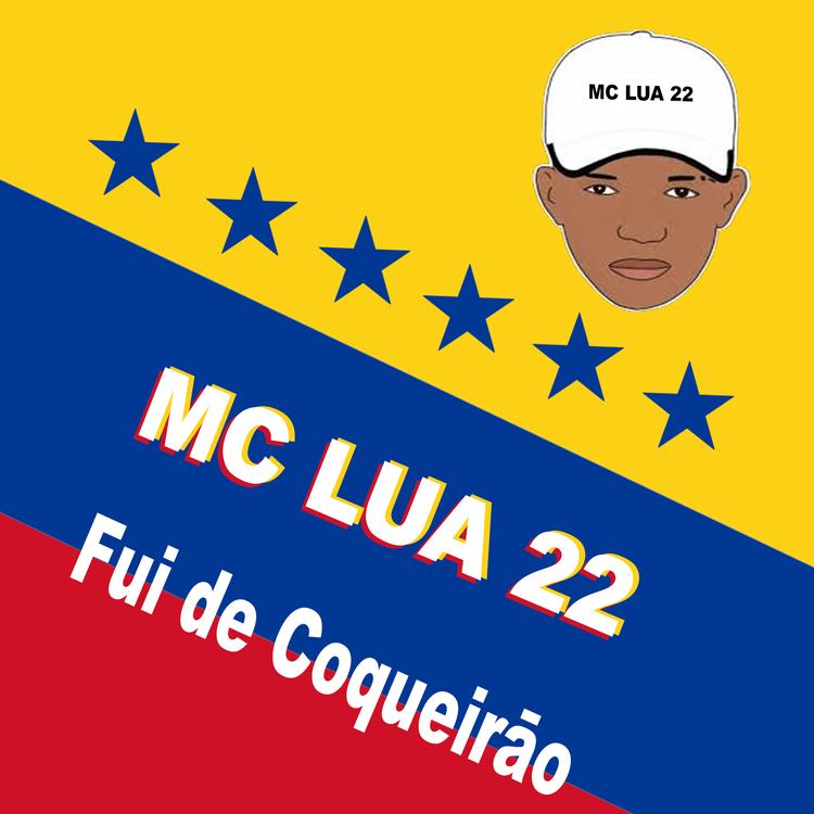 MC LUA 22's avatar image