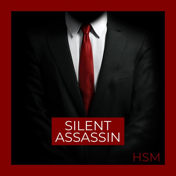 HSM's avatar image