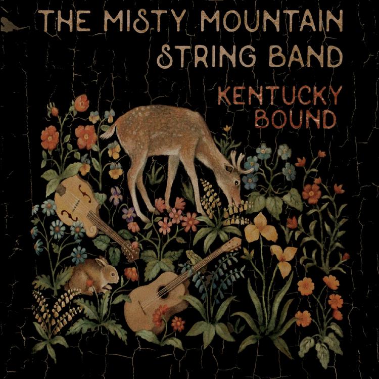 The Misty Mountain String Band's avatar image