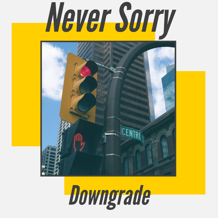 Downgrade's avatar image