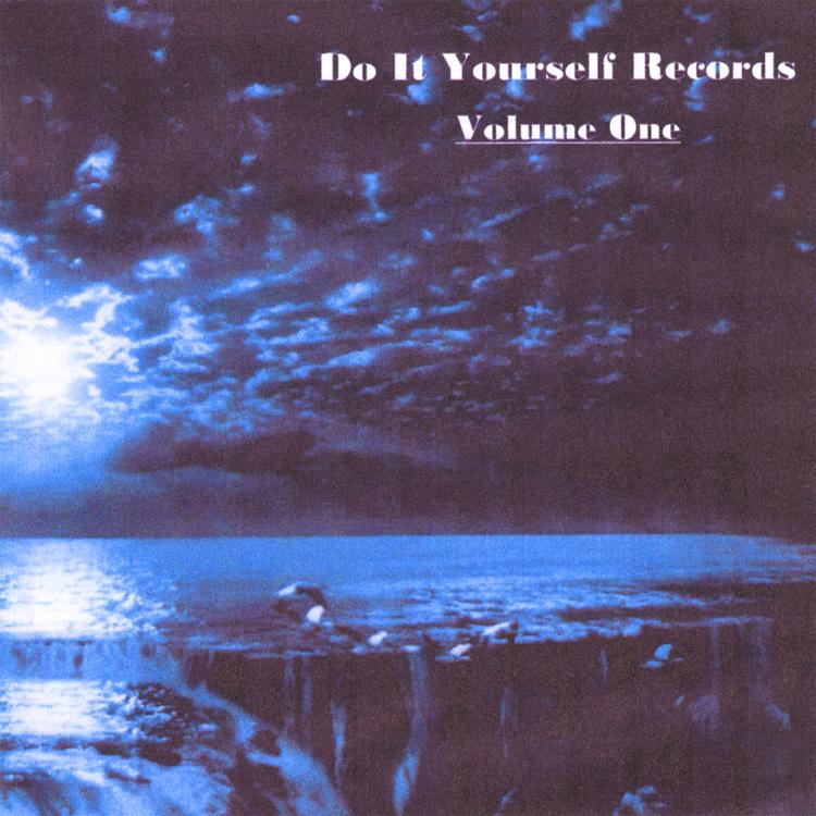 do it yourself records's avatar image