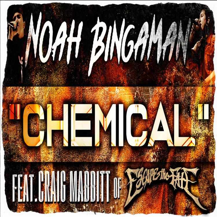 Noah Bingaman's avatar image
