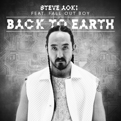 Back To Earth (LA Riots Remix) By Steve Aoki, Fall Out Boy's cover