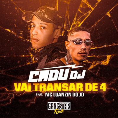 Vai Transar De 4 By Cadu DJ, MC Luanzin do JD's cover