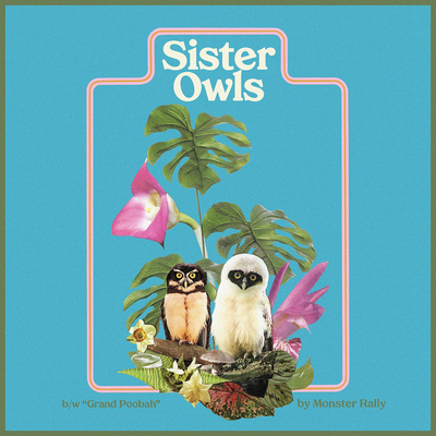 Sister Owls By Monster Rally's cover