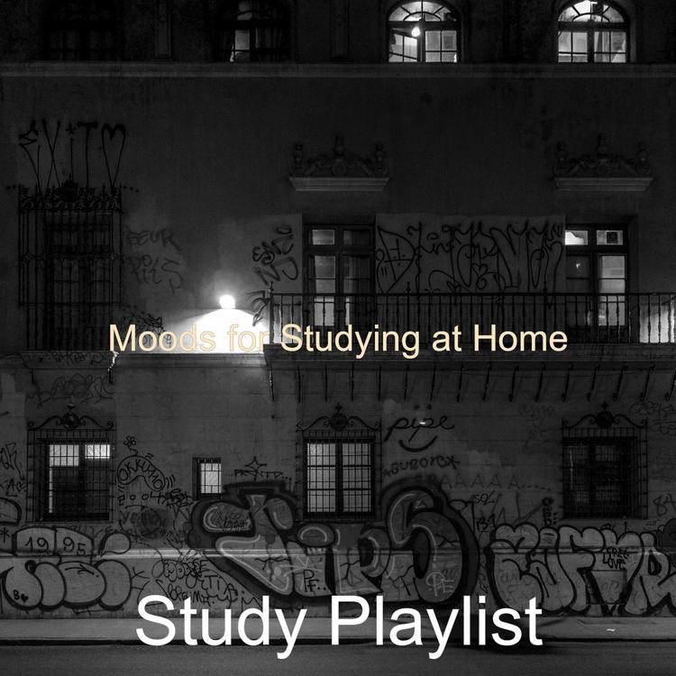 Study Playlist's avatar image
