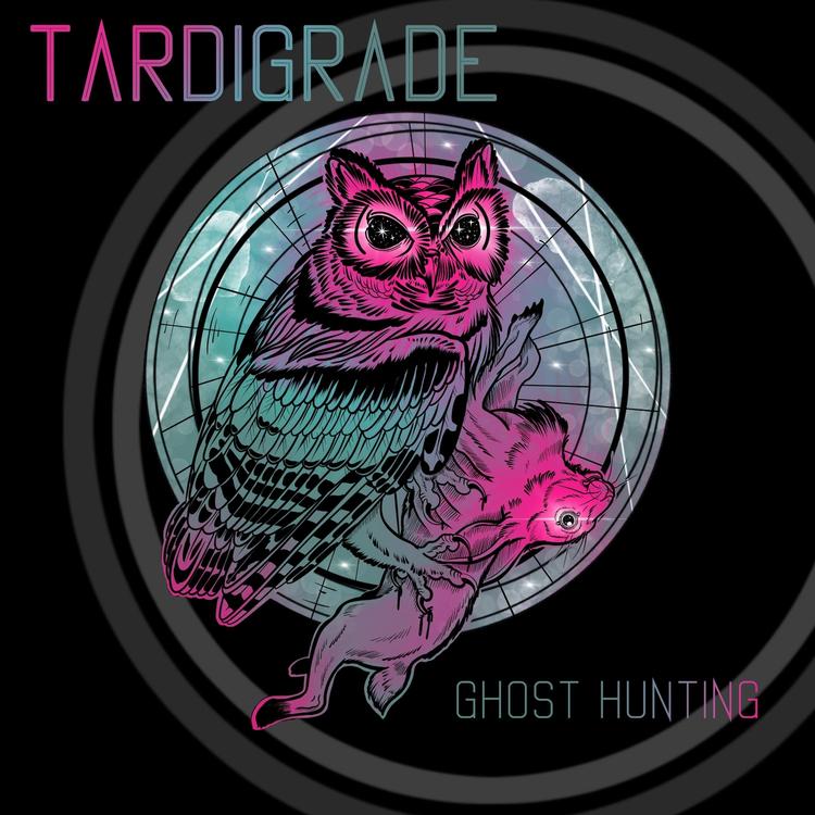 Tardigrade's avatar image