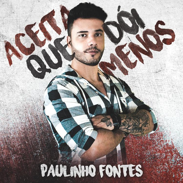 Paulinho Fontes's avatar image