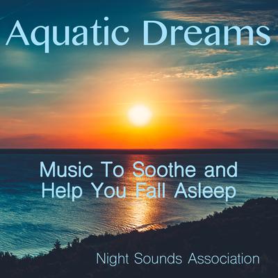 Shimmering Brook By Night Sounds Association's cover