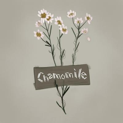 Chamomile By Cat Paw, Kuranes's cover