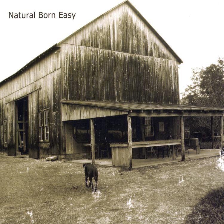 Natural Born Easy's avatar image