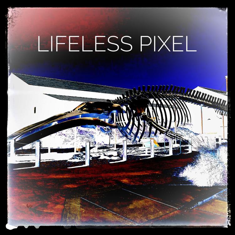 Lifeless Pixel's avatar image