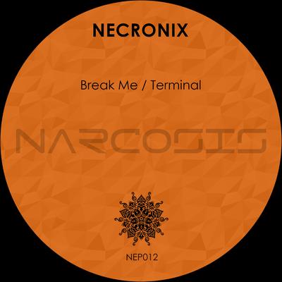 Break Me / Terminal's cover