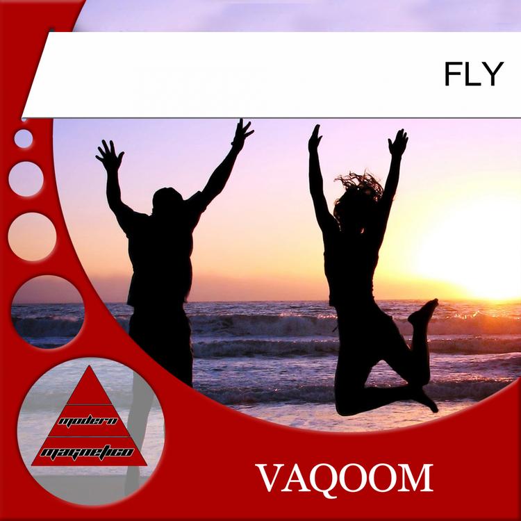 VAQOOM's avatar image