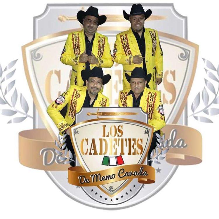 Los Cadetes de Memo Cavada's avatar image