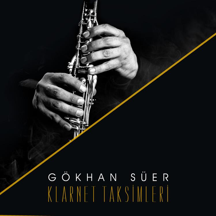 GÖKHAN SÜER's avatar image