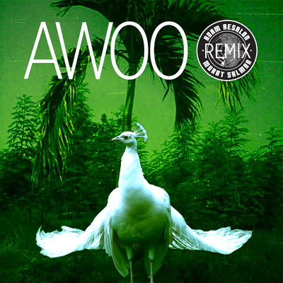 Awoo (Adam Aesalon & Murat Salman Remix) By Sofi Tukker, Betta Lemme's cover