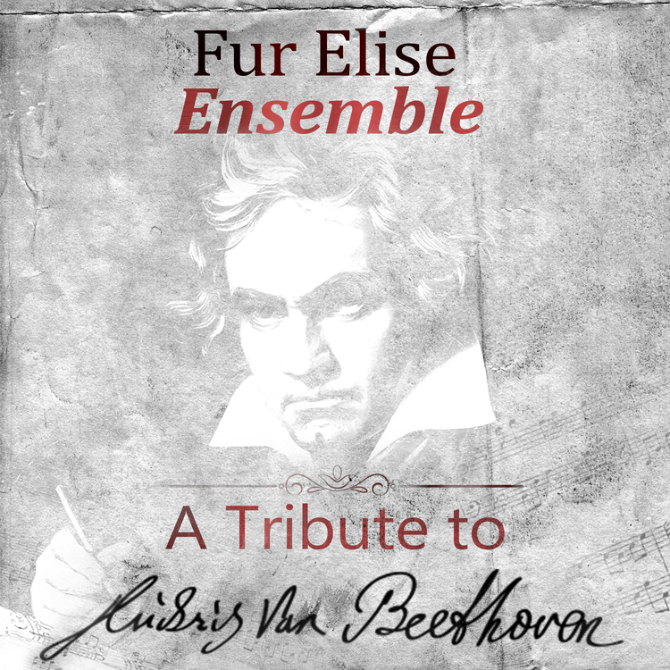 Fur Elise Ensemble's avatar image