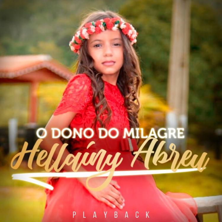 Hellaíny Abreu's avatar image