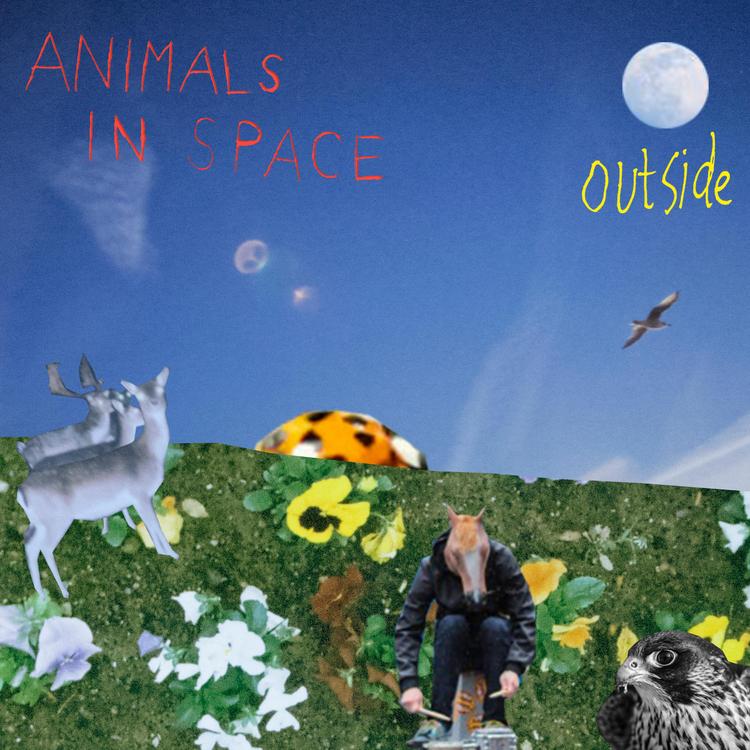 Animals in Space's avatar image