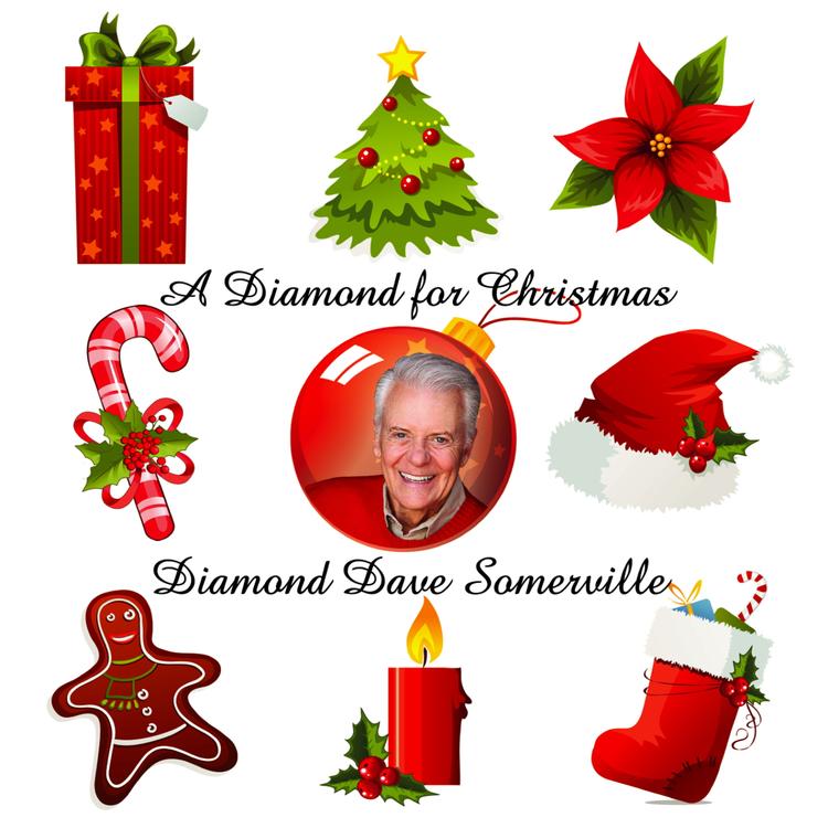 Diamond Dave Somerville's avatar image