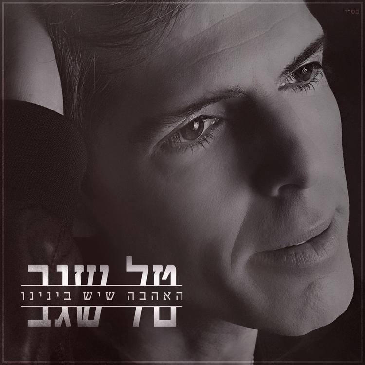 Tal Segev's avatar image