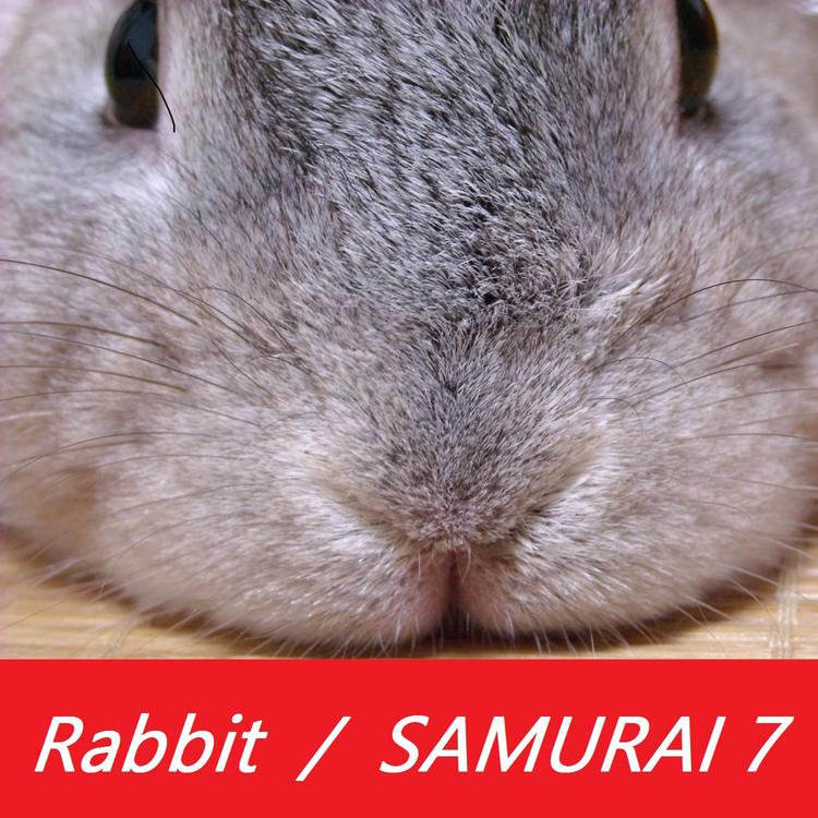 SAMURAI 7's avatar image