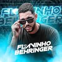 Flavinho Behringer's avatar cover
