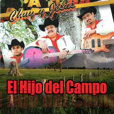 Voy Llegando a Sinaloa's cover