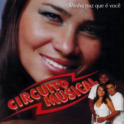 Si Tu No Estás (Ao Vivo) By Circuito Musical's cover