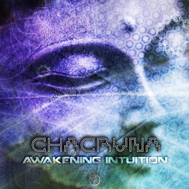 Chacruna's avatar image