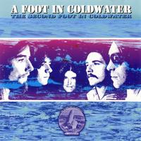 A Foot In Coldwater's avatar cover