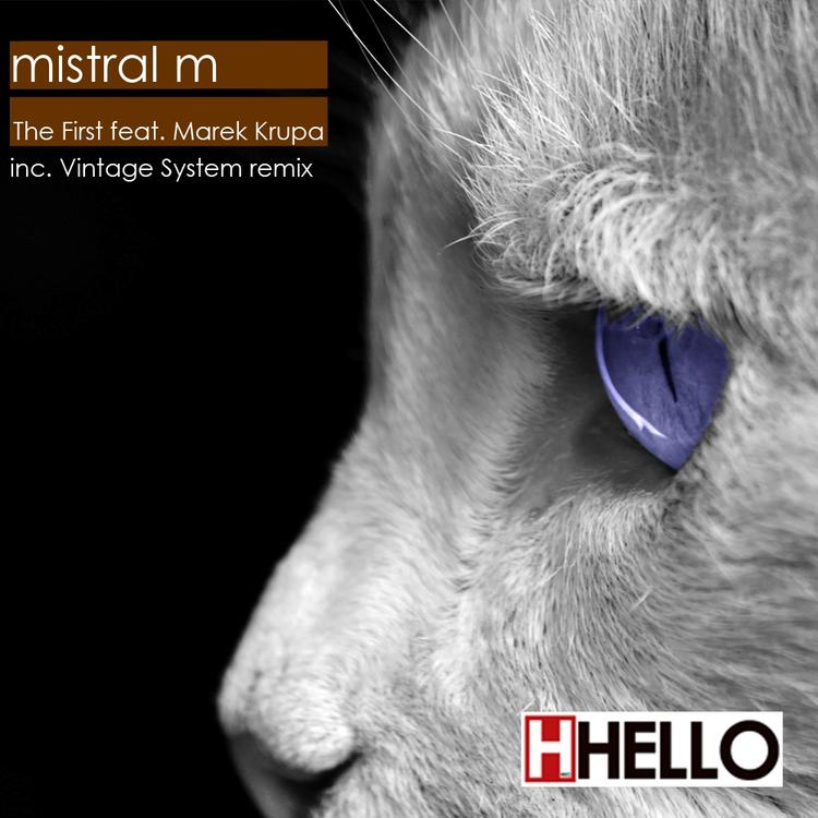 Mistral M's avatar image