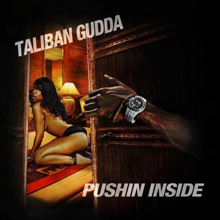 Taliban Gudda's avatar image