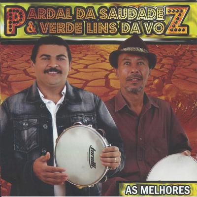 Desafio Malcriado By Pardal da Saudade e Verde Lins da Voz's cover