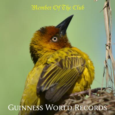 Guinness World Records's cover