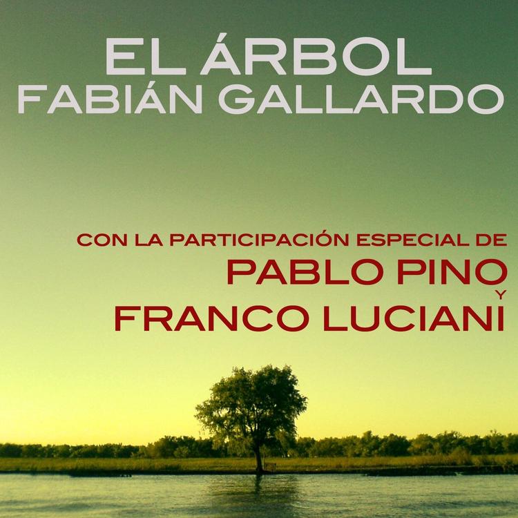 Fabian Gallardo's avatar image