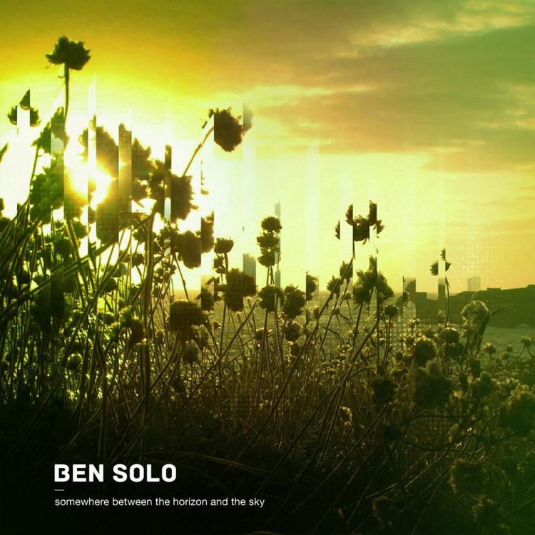 Ben Solo's avatar image