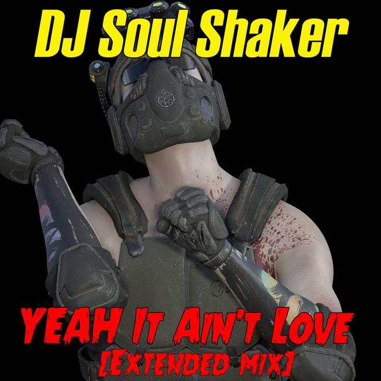 DJ Soul Shaker's avatar image