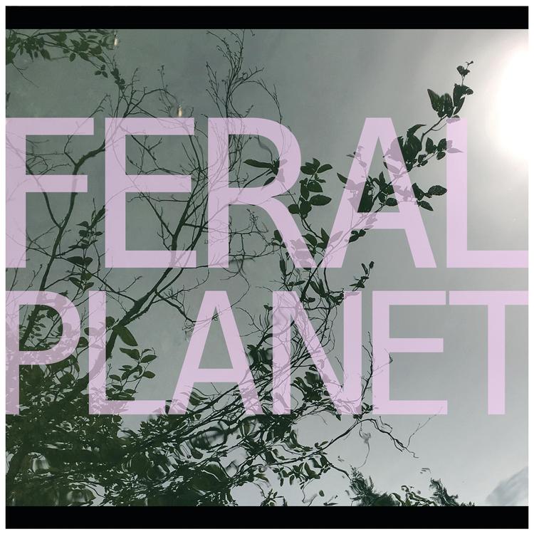 Feral Planet's avatar image