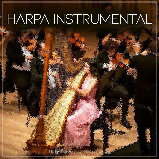 Orquestra Sinfonica's avatar image