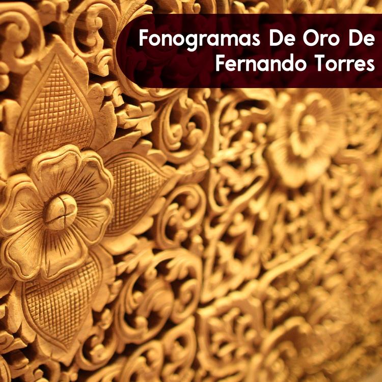 Fernando Torres's avatar image