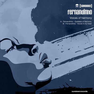 Voices Inside My Head (Original Mix) By Fernandinho's cover