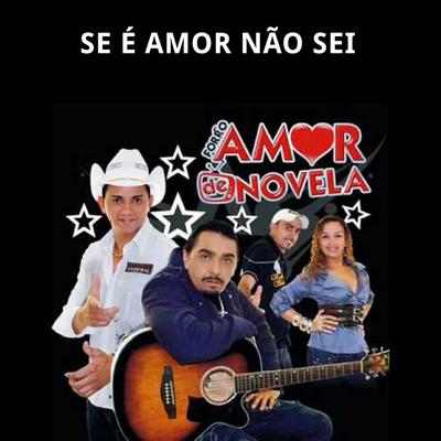 Forro Amor de Novela's cover