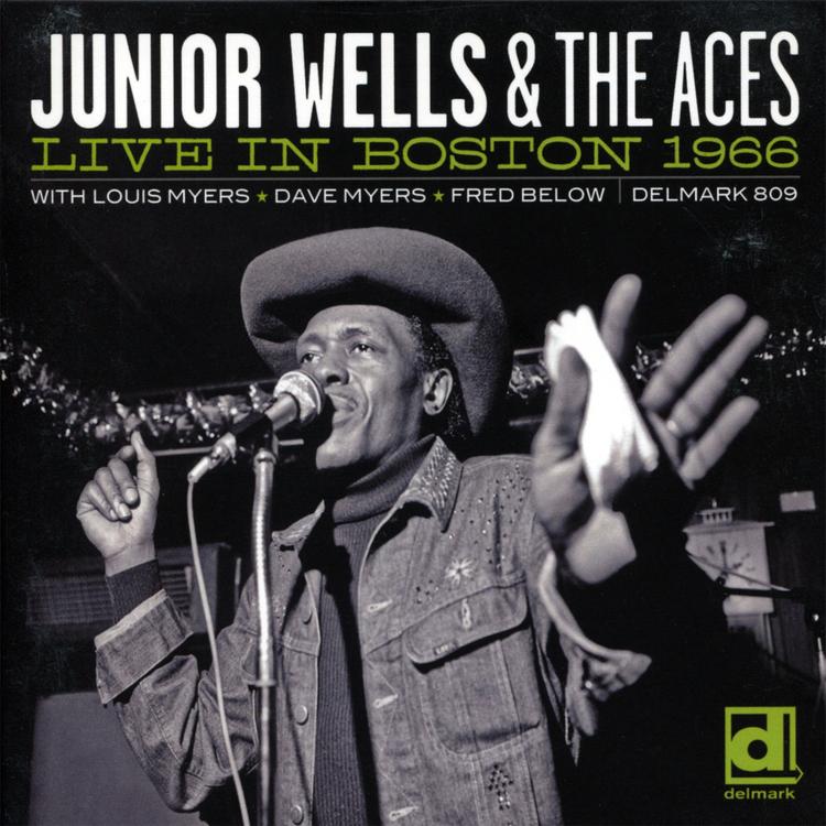 Junior Wells & The Aces's avatar image