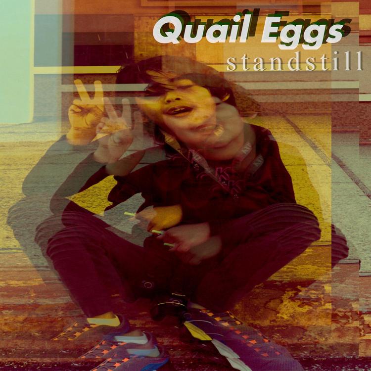 Quail Eggs's avatar image