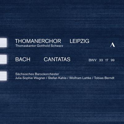 J.S. Bach: Cantatas, BWVV 33, 17 & 99's cover