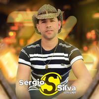 SÉRGIO SILVA ESTILIZADO's avatar cover